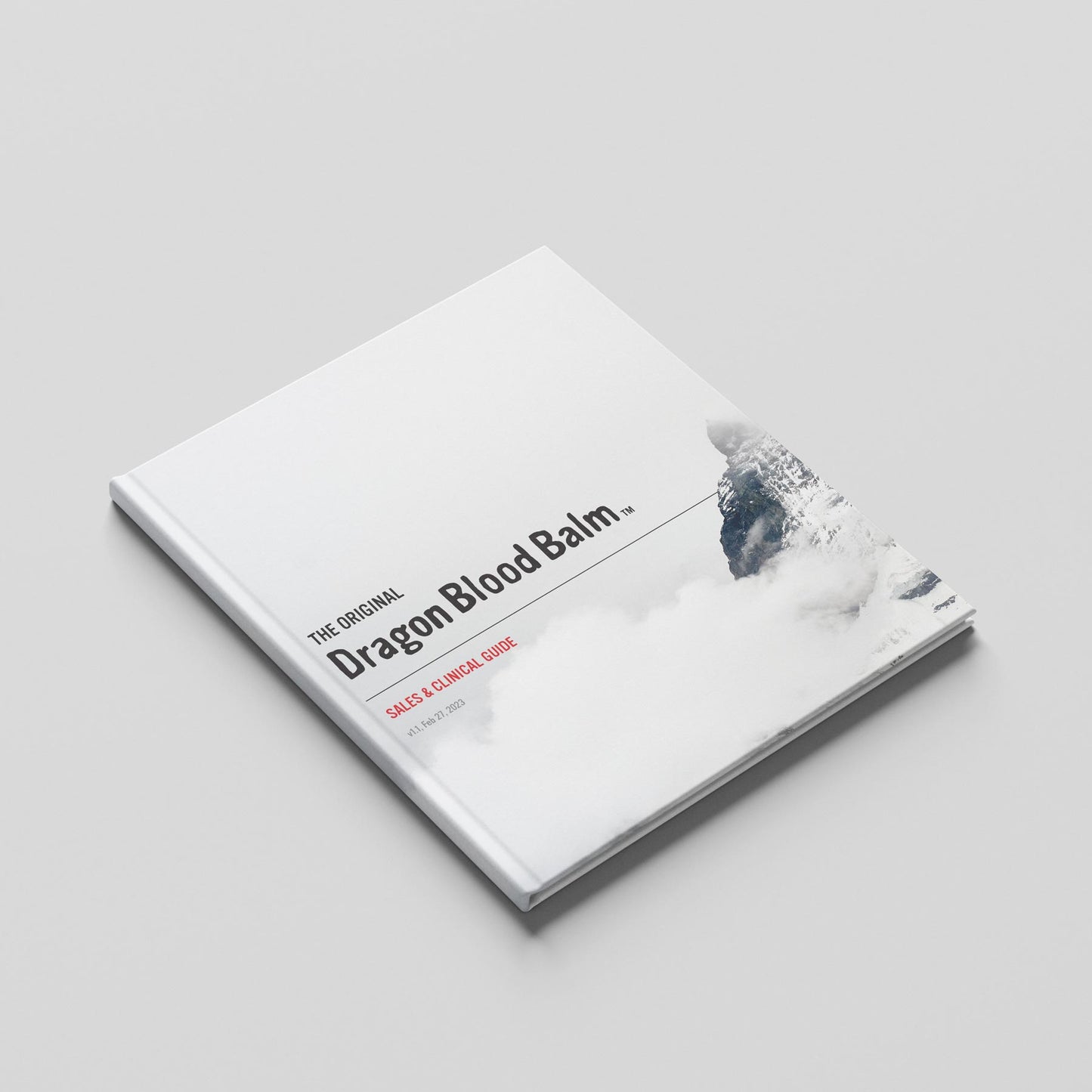 Sales Guide (Digital)